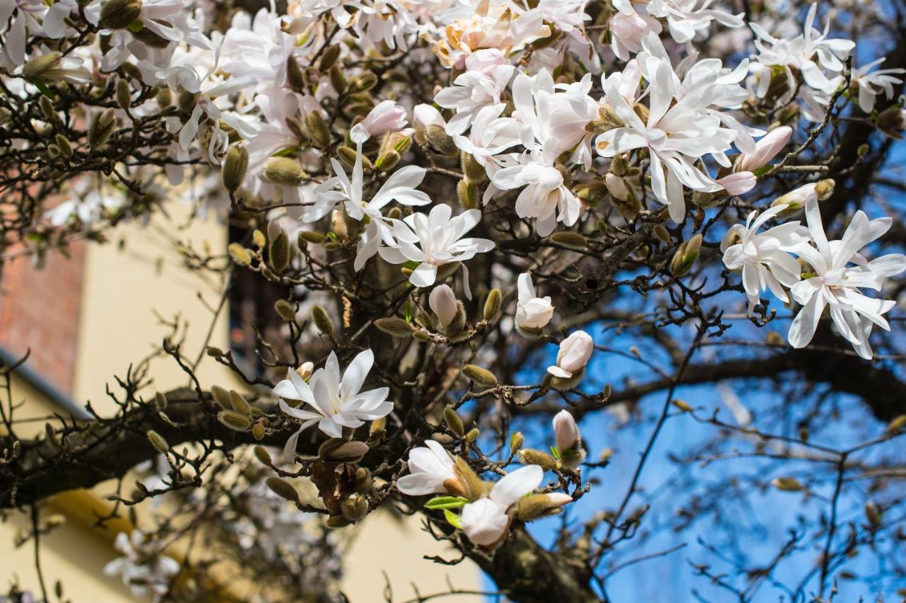 B&B Villa Camilla Pralungo Zewnętrze zdjęcie